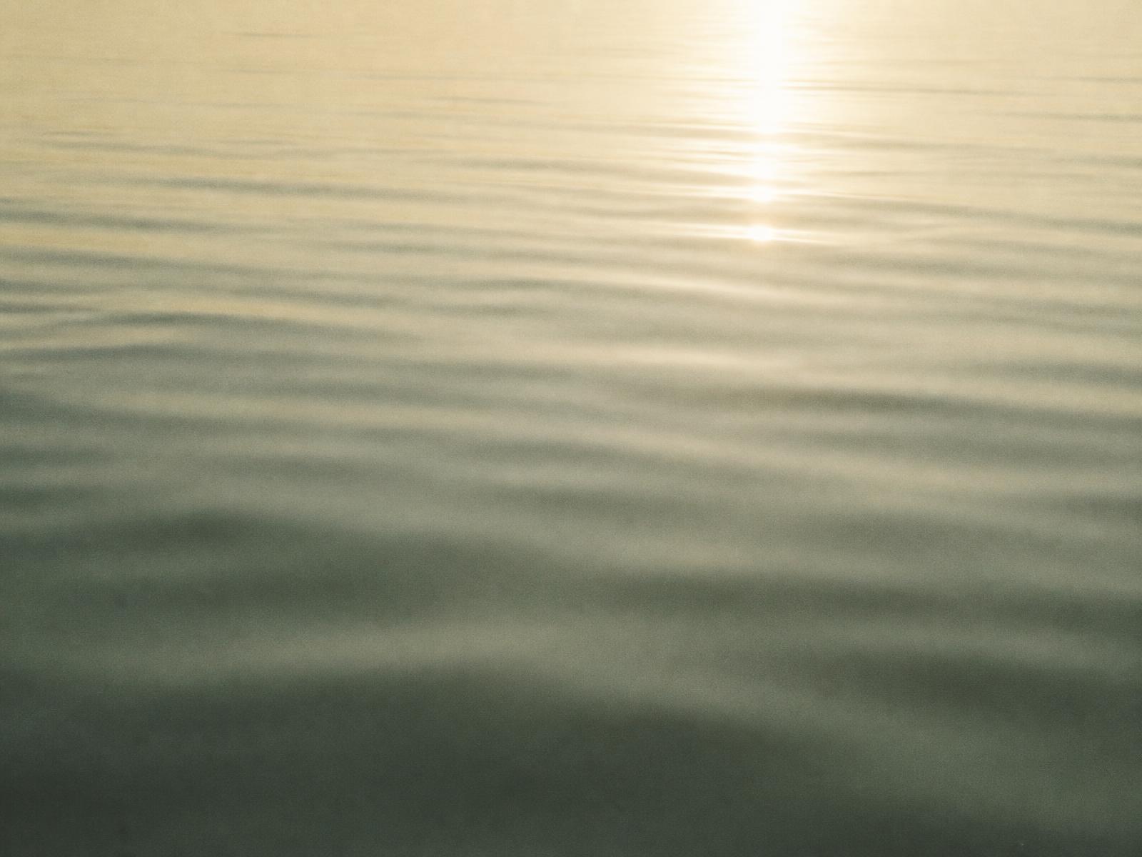 Soft morning light resting on gently rippling water